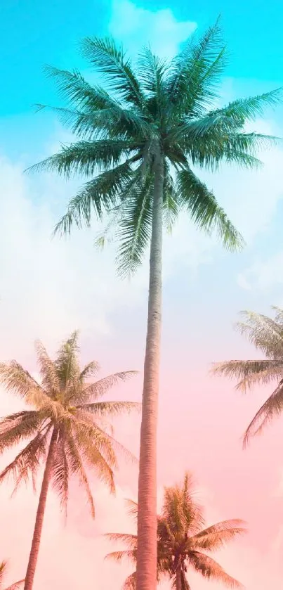 Vibrant palm trees with blue and pink gradient sky.