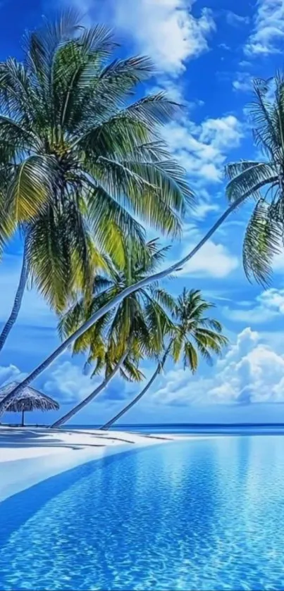 Tropical beach with palm trees and clear blue water under a bright sky.
