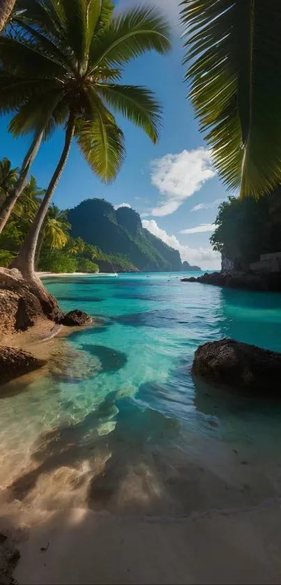 Scenic tropical beach with turquoise waters and palm trees.
