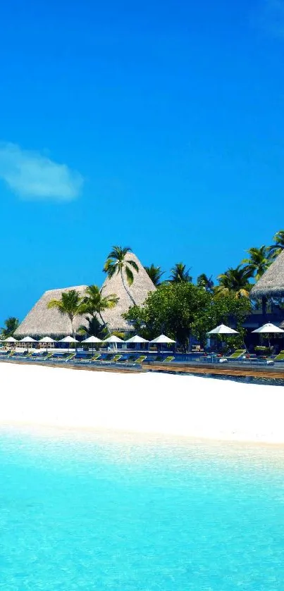 Tropical beach with blue sky and tranquil water.