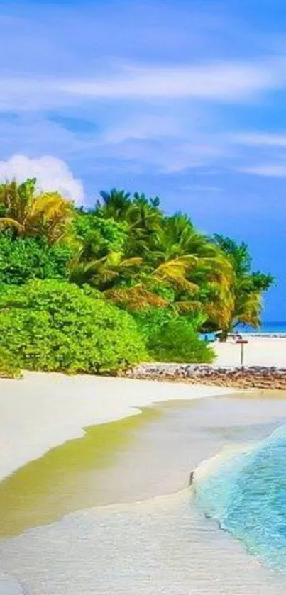 Tropical beach with clear blue sky and lush green palms.