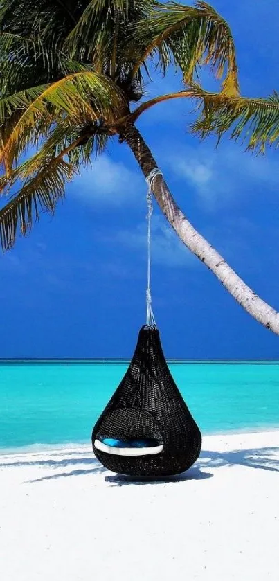 Tropical beach scene with palm tree and hammock.