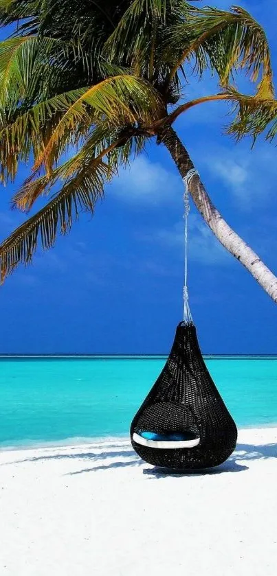 Tropical beach with palm tree and hanging chair on a sunny day.