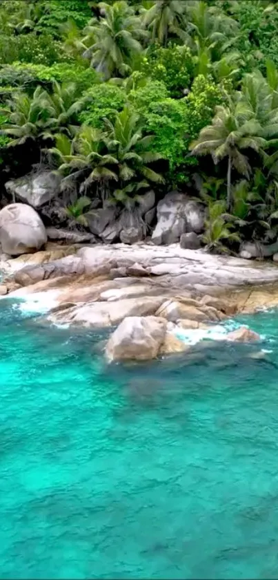 Emerald green tropical beach with lush forest and rocky shores.