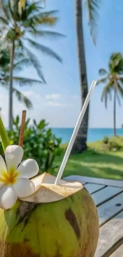Tropical coconut drink on a sunny beach with palm trees.