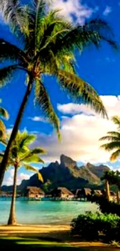 Tropical paradise wallpaper with palm trees and azure sky over an ocean backdrop.