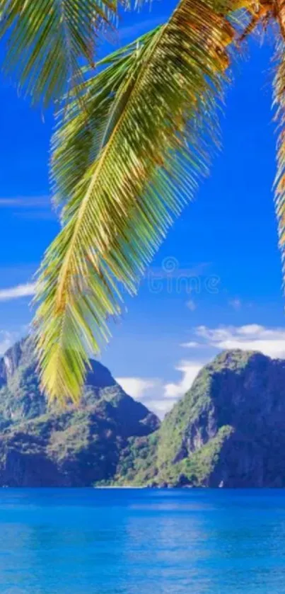 Tropical island with palms and ocean view, perfect for mobile wallpaper.