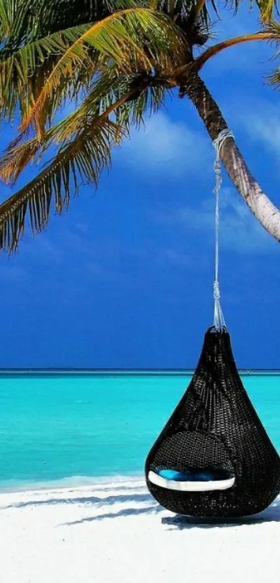 Tropical beach with palm tree and hammock by turquoise sea.