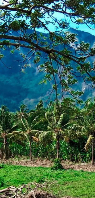 Lush tropical landscape with palm trees under a bright blue sky.