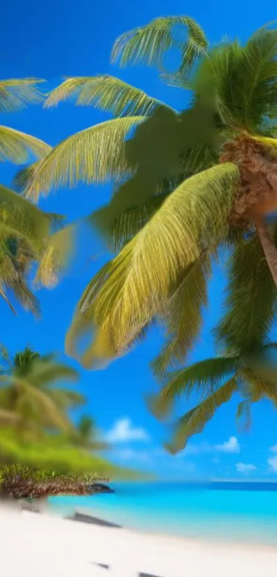 Tropical beach scene with palm trees and clear blue sky.