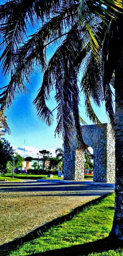 Vibrant tropical park with palm trees and blue sky.