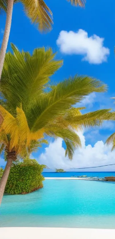 Tropical beach with palm trees and clear turquoise sea.