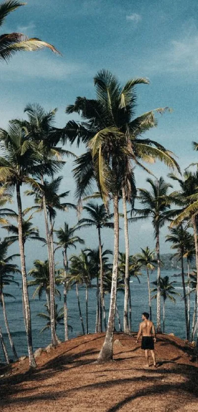 Scenic tropical beach with palm trees under a blue sky, perfect for a phone wallpaper.