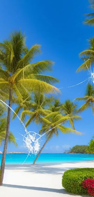 Scenic view of tropical beach with palm trees and clear blue sky.