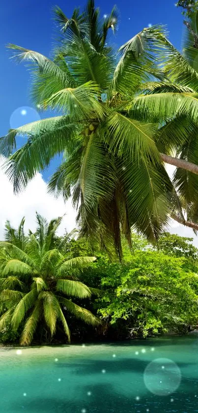 Tropical beach with palm trees and clear blue waters.