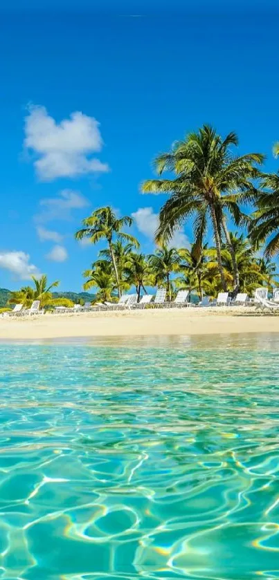 Tropical beach wallpaper with calm turquoise waters and lush palm trees.