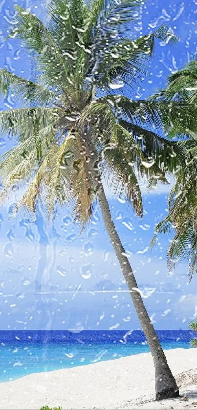 Tropical beach wallpaper with palm tree, blue ocean, and raindrops.