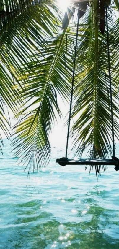 Swing under palm trees by turquoise ocean.