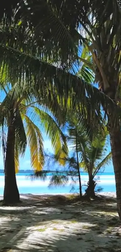 Tropical beach with palm trees and blue sky mobile wallpaper.