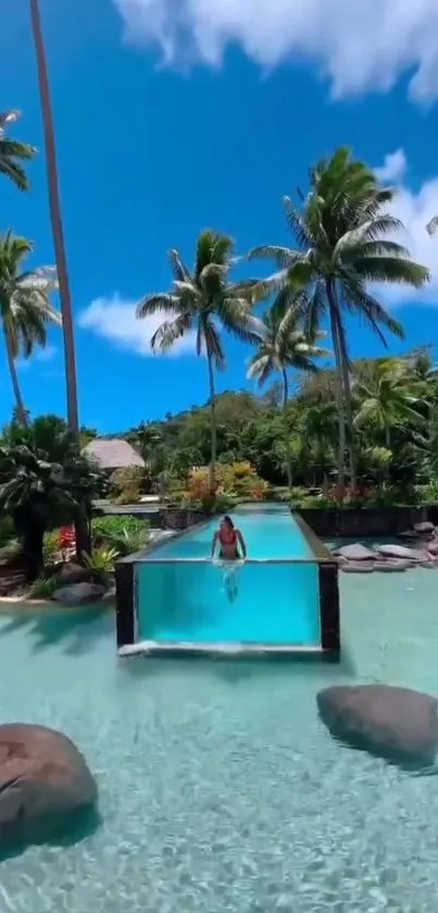 Tropical pool with palm trees and blue sky wallpaper.