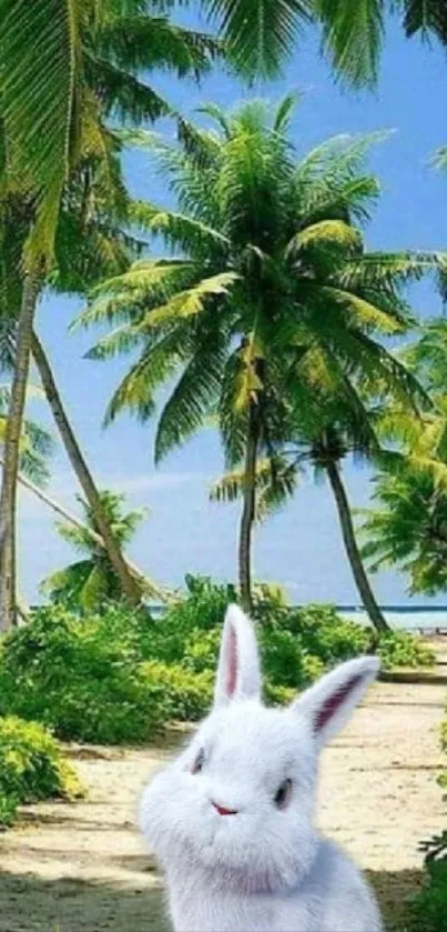 A cute rabbit in a tropical palm tree landscape on a sunny beach.