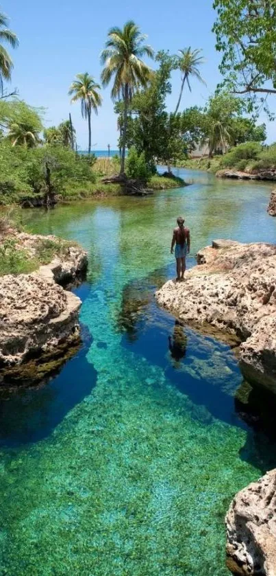 Tropical paradise stream with lush greenery and clear waters.