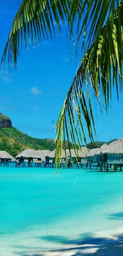 Tropical beach with turquoise water and overwater bungalows.