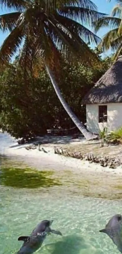 Tropical beach with dolphins swimming near a palm-lined hut.