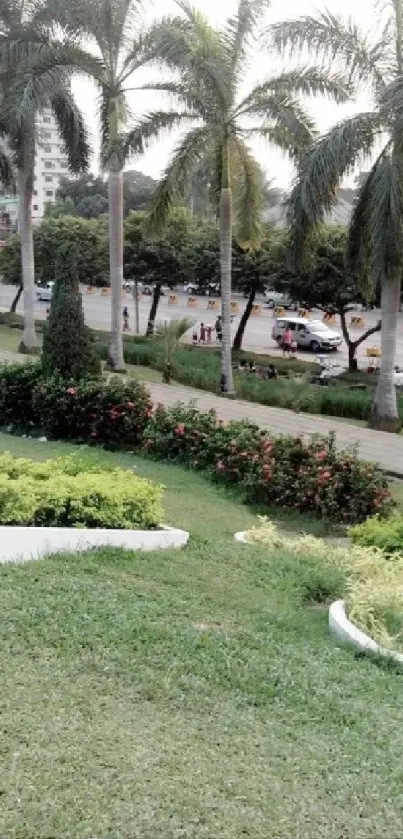 Tropical park with lush greenery and palm trees.