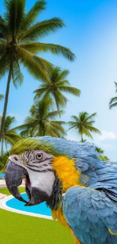 Blue and yellow parrot in tropical beach with palm trees.