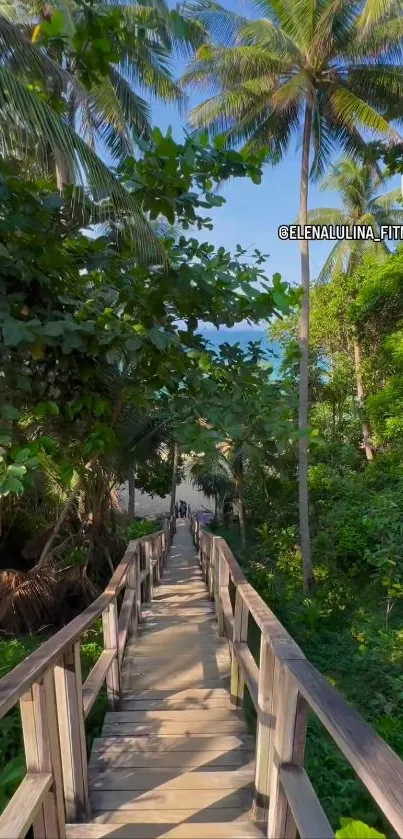 Serene wooden pathway amidst tropical greenery under clear blue skies.