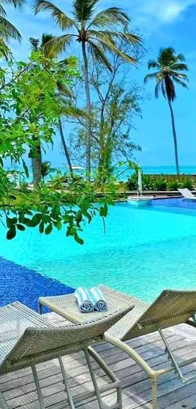 Wallpaper of a tropical pool oasis with palm trees and blue skies.