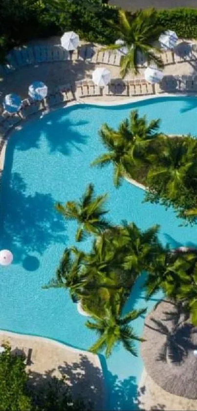 Aerial view of a tropical pool and lush greenery.