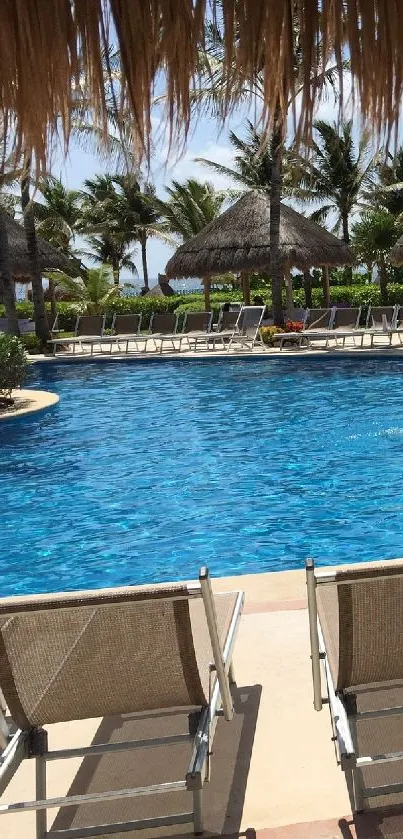 Tropical poolside wallpaper with palm trees and sunlit blue skies.