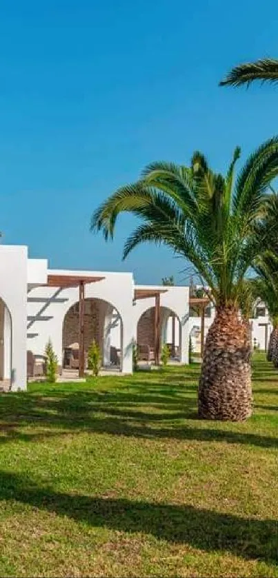 Tropical resort view with palm trees and modern buildings under a clear blue sky.