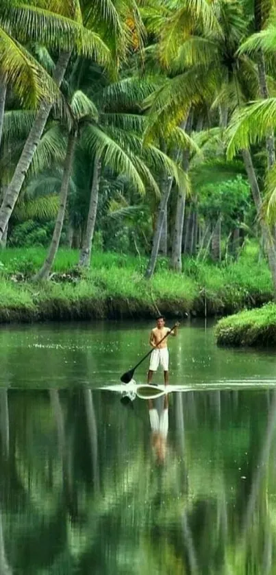 Lush tropical scene with palm trees and calm water reflection.