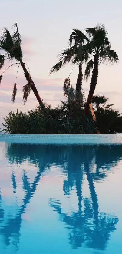 Palm trees reflecting in tranquil blue waters at sunset.