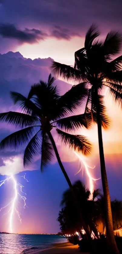Tropical beach with palm trees and lightning during sunset.
