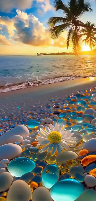 Tropical sunset beach with colorful pebbles and a daisy in the foreground.