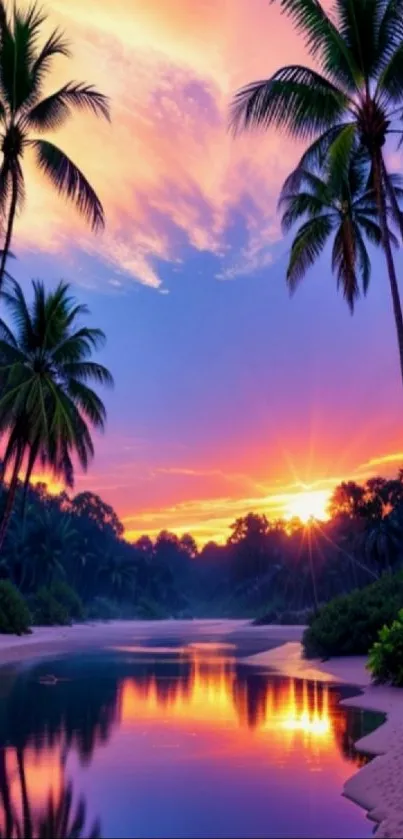 Tropical beach sunset with palm trees and vibrant reflections.