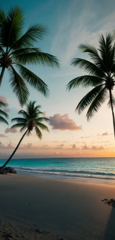 Tropical beach at sunset with palm trees and ocean waves.