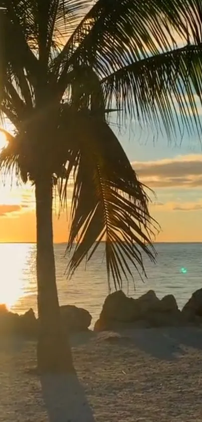 Serene tropical beach at sunset with palm tree silhouette.