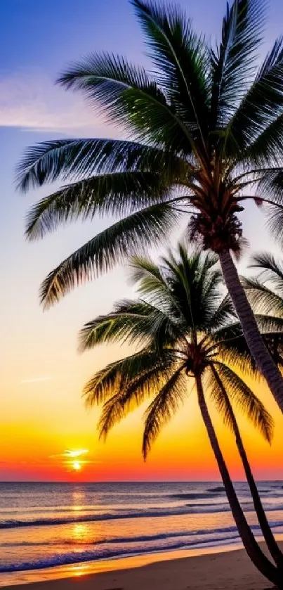 Vibrant tropical sunset with palm trees on the beach, ideal for phone wallpaper.