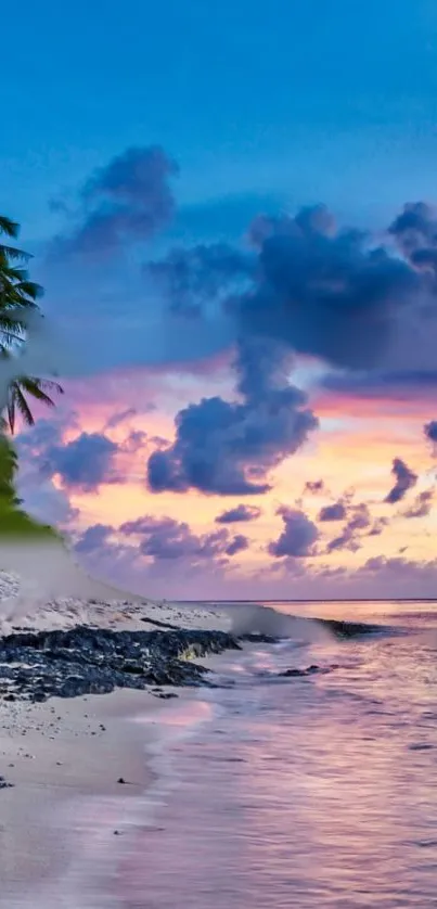 Stunning tropical beach at sunset with palm trees and ocean waves.