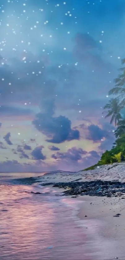 Tropical sunset beach with starry sky and palm trees.