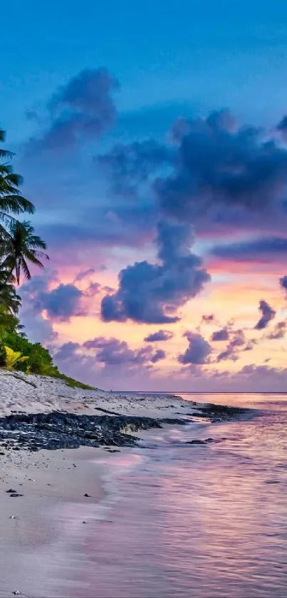 Tropical beach sunset with palm trees and calm ocean waves.