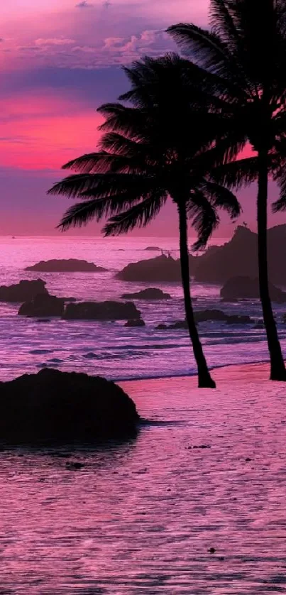 Tropical sunset with palm trees and ocean view in vibrant pink hues.