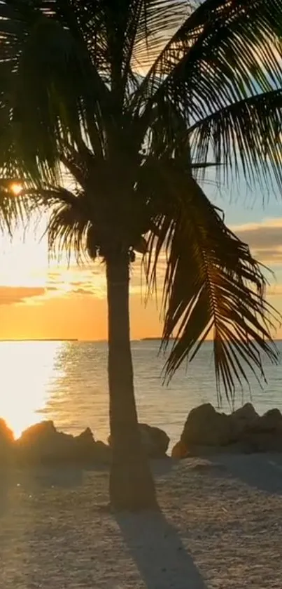 Palm tree silhouette against a vibrant tropical sunset over a calm beach scene.