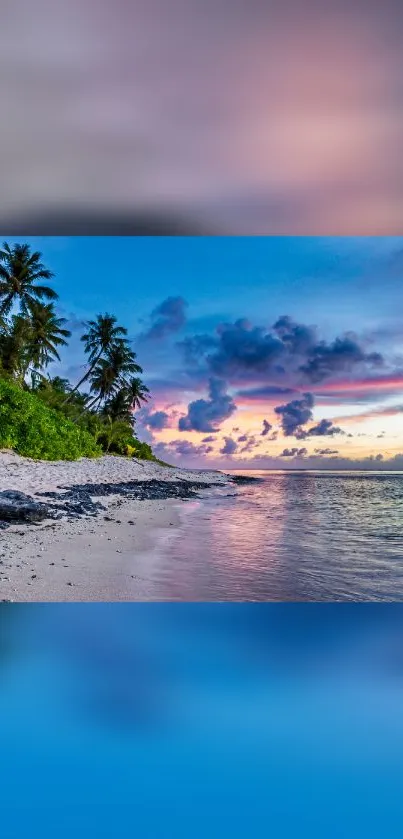 Tropical sunset beach with palm trees and vivid ocean sky.