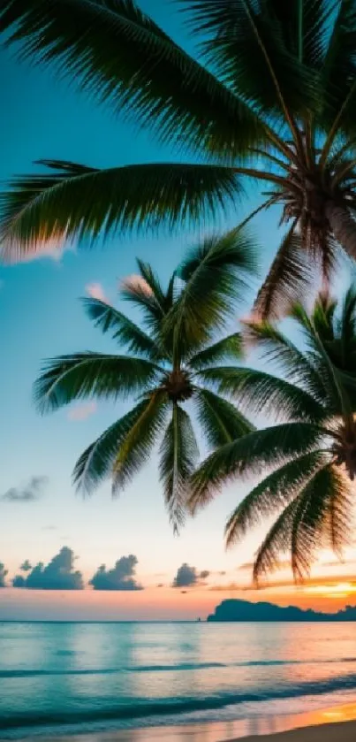 Tropical sunset beach with palm trees and ocean view at dusk.